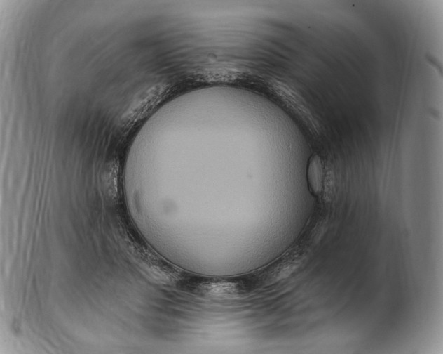 X0000102810501200809021202