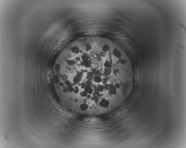 X0000102810503200809021202