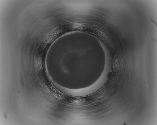 X0000102810504200809021202