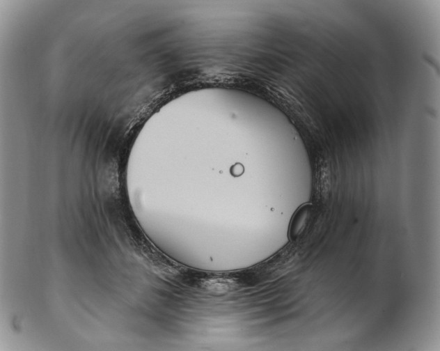 X0000102810508200809021202