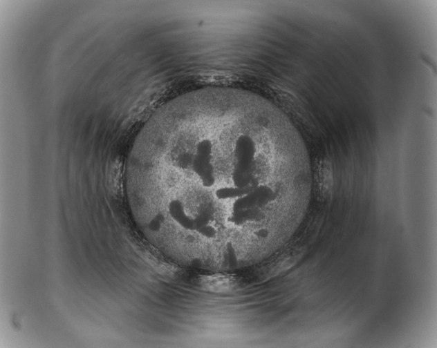 X0000102810511200809021202