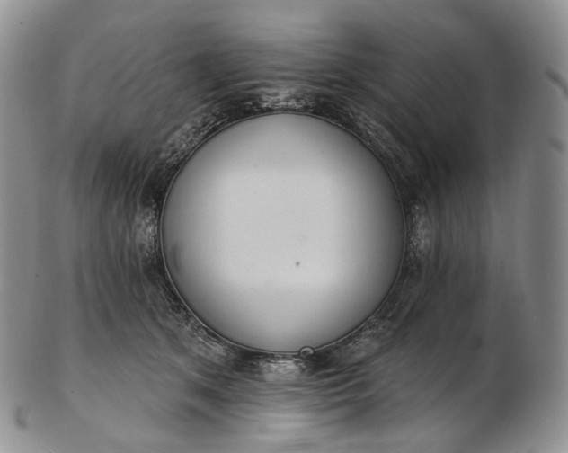 X0000102810513200809021202