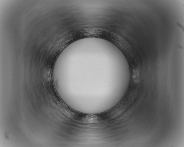 X0000102810514200809021202