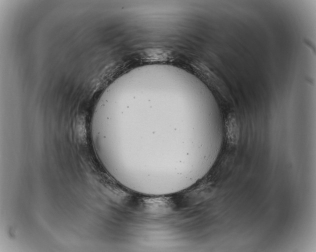 X0000102810516200809021202