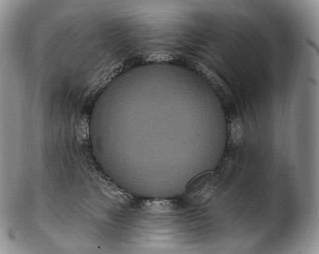 X0000102810517200809021202