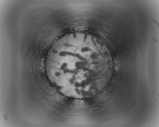 X0000102810519200809021201