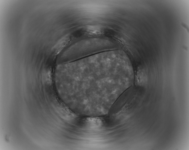 X0000102810520200809021201