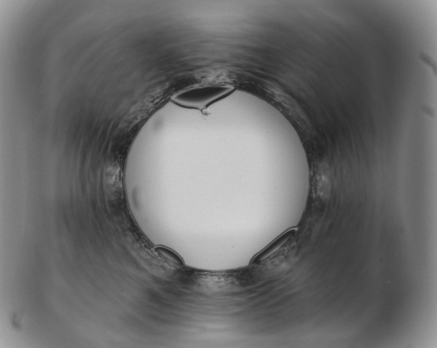 X0000102810521200809021201