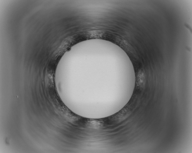 X0000102810522200809021201