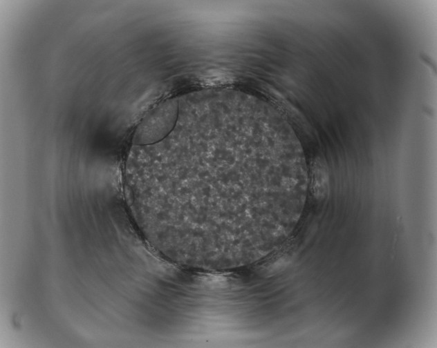 X0000102810523200809021201