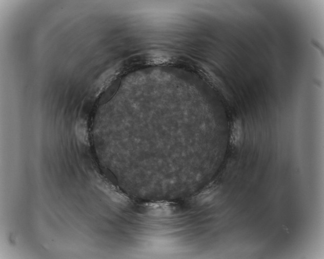 X0000102810524200809021201