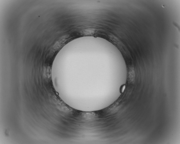 X0000102810525200809021201