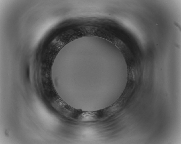 X0000102810526200809021201