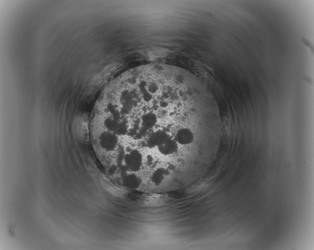 X0000102810527200809021201