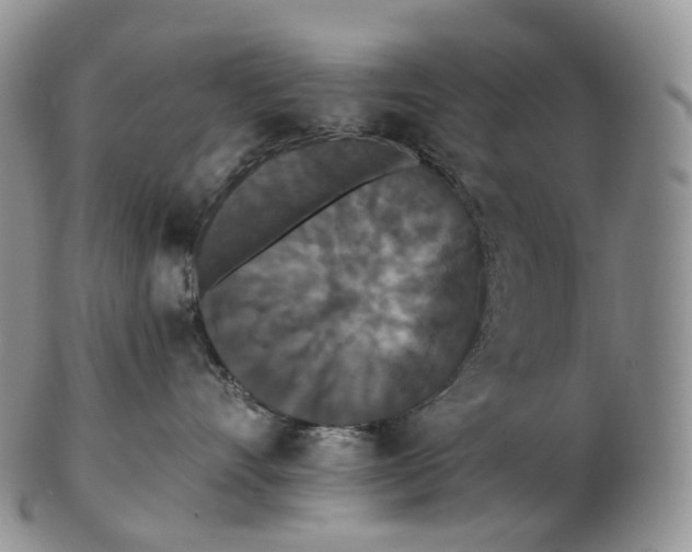 X0000102810528200809021201