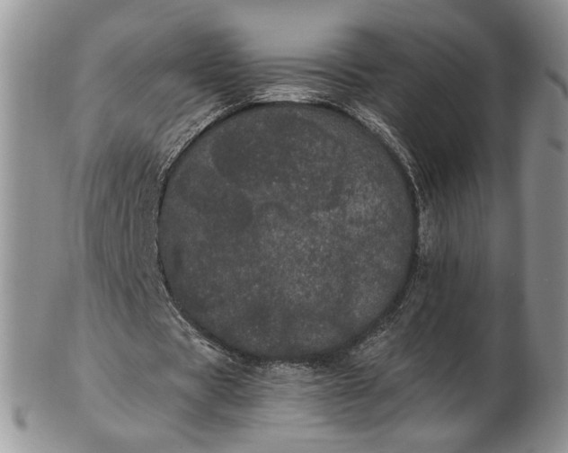 X0000102810529200809021201