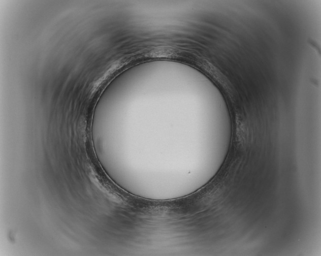 X0000102810530200809021201