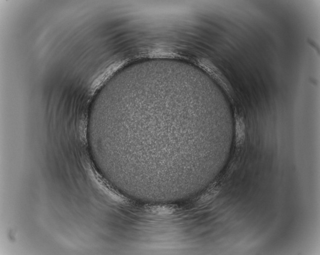 X0000102810533200809021201