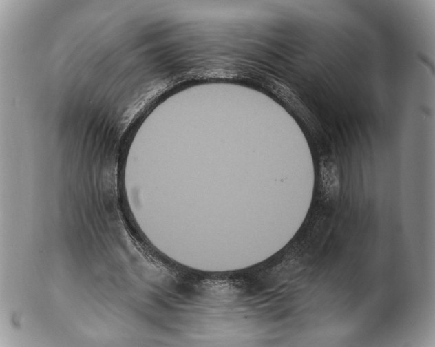 X0000102810534200809021201