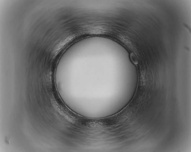 X0000102810535200809021201