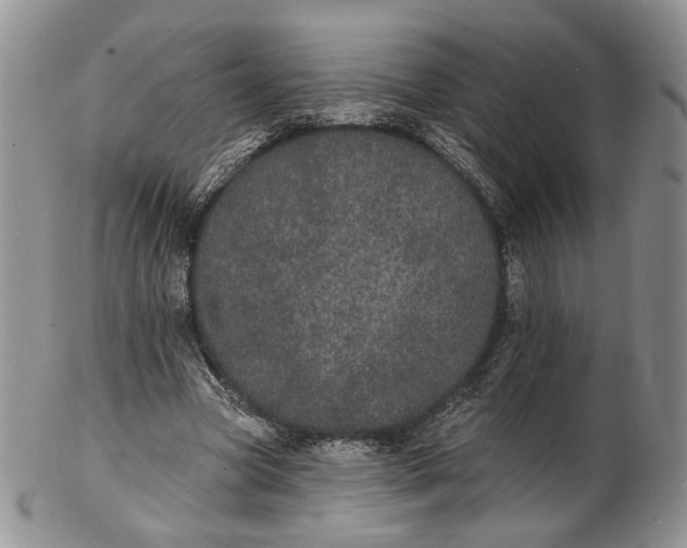 X0000102810537200809021201