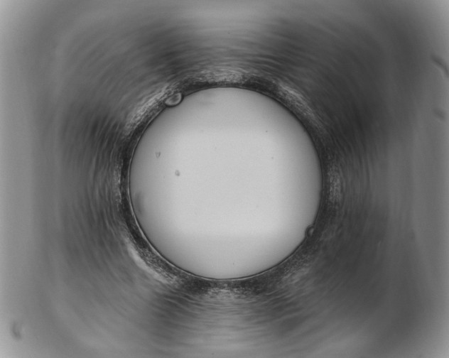 X0000102810538200809021201