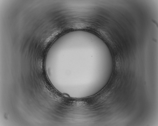 X0000102810539200809021201