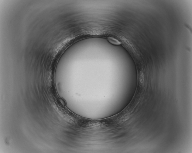 X0000102810540200809021201