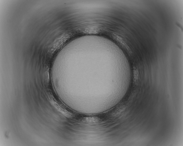 X0000102810541200809021201