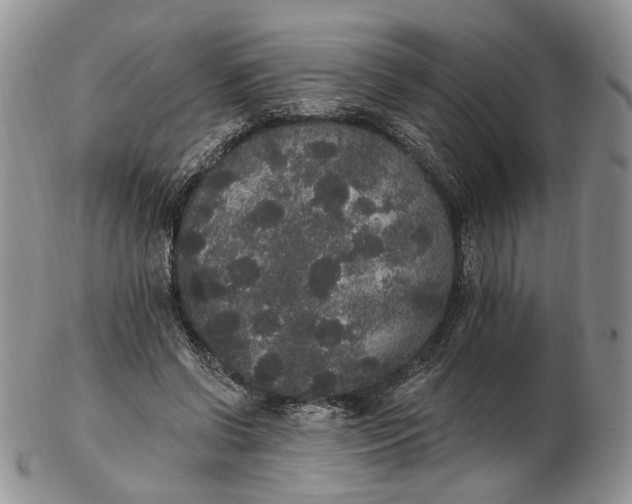 X0000102810542200809021201