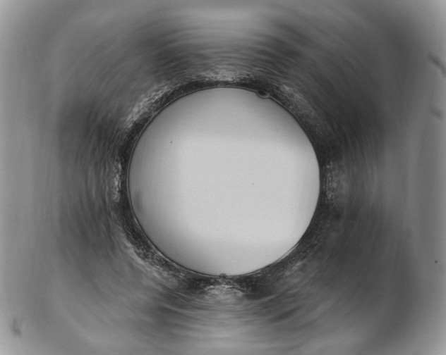 X0000102810544200809021201