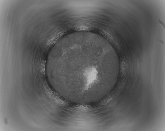 X0000102810545200809021201