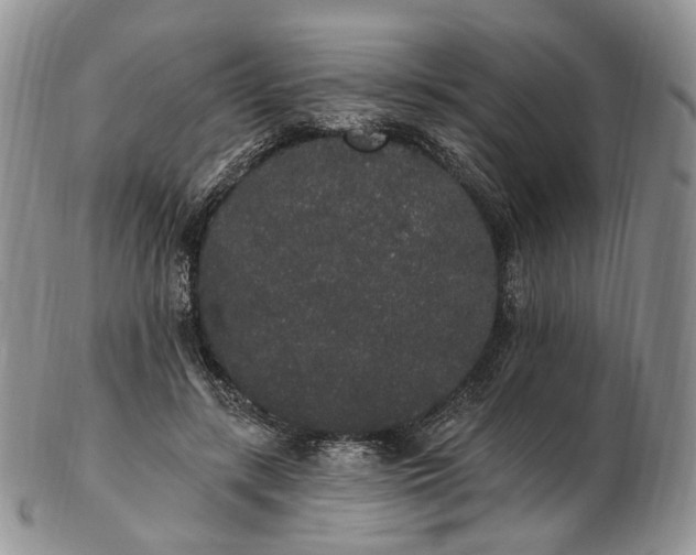 X0000102810547200809021201