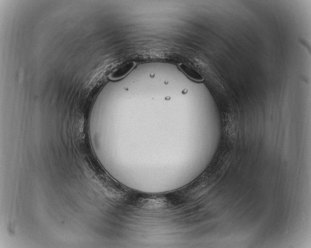 X0000102810548200809021201