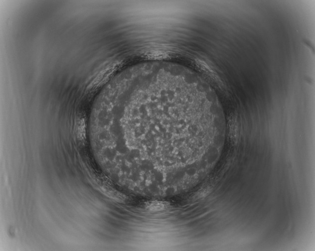 X0000102810549200809021201