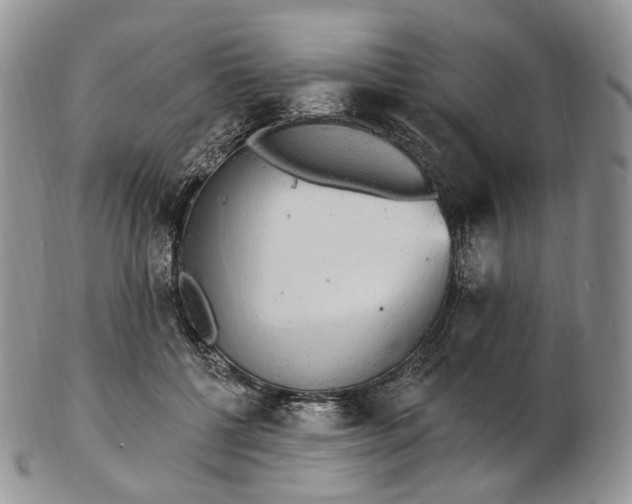 X0000102810552200809021201