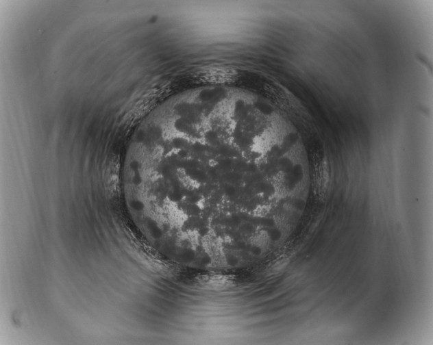 X0000102810553200809021201