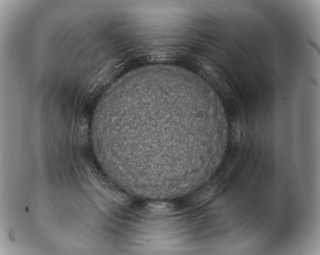 X0000102810557200809021201