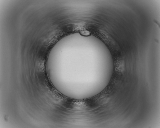 X0000102810560200809021201