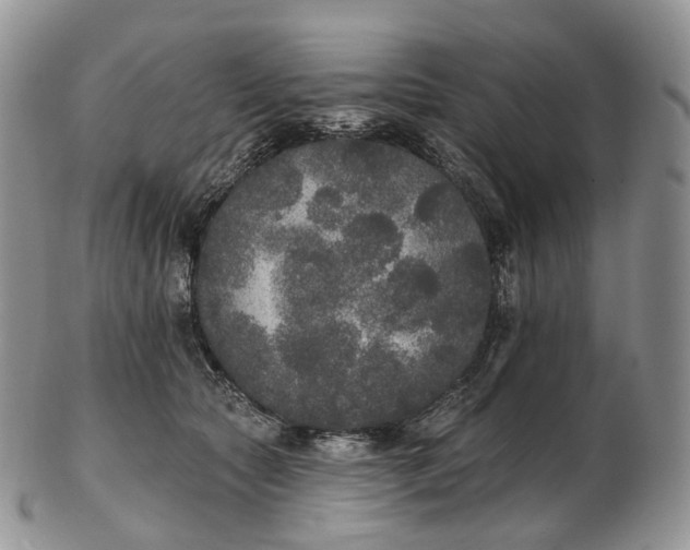 X0000102810561200809021201