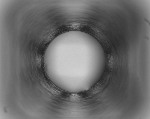 X0000102810562200809021201