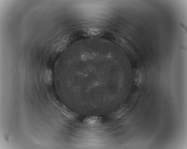 X0000102810563200809021201