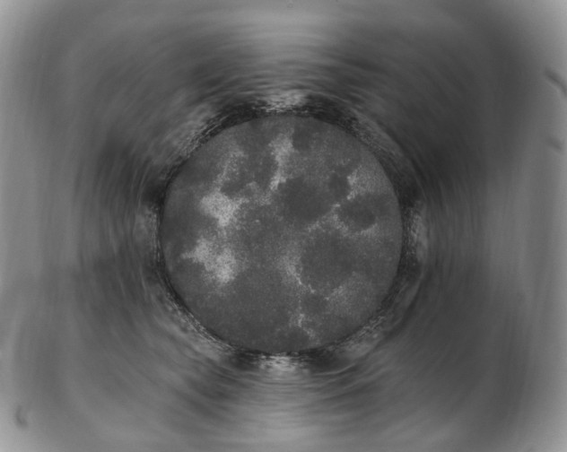 X0000102810565200809021201