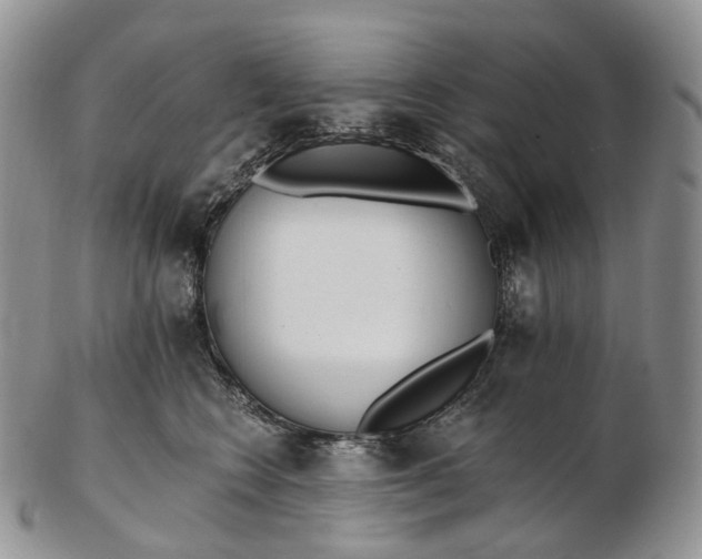 X0000102810566200809021201