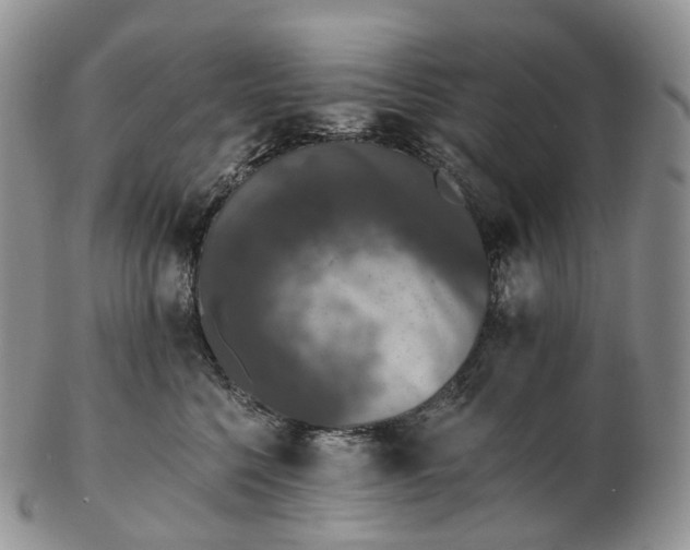 X0000102810568200809021201