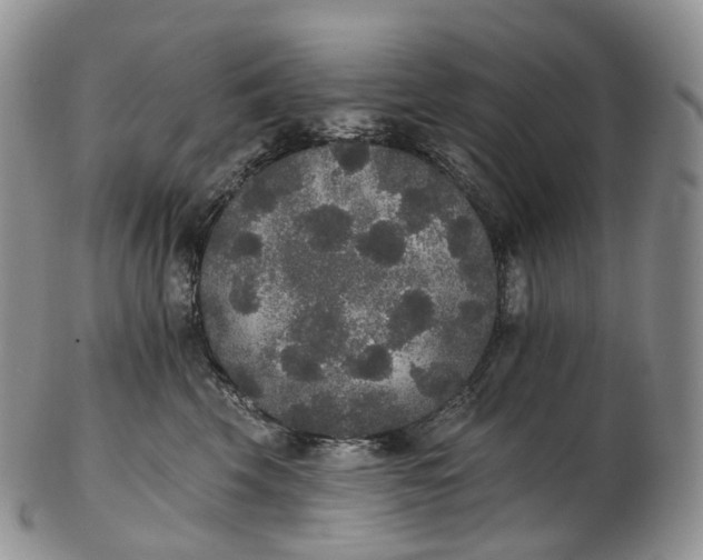 X0000102810569200809021201