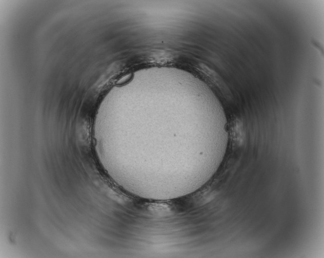 X0000102810572200809021201