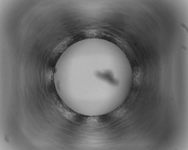 X0000102810574200809021201