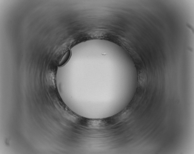 X0000102810575200809021201