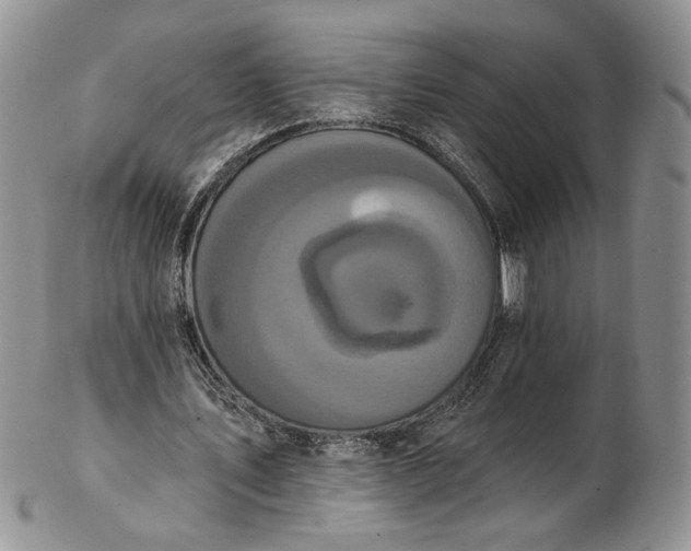 X0000102810579200809021201